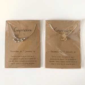 TWO Capricorn Necklaces